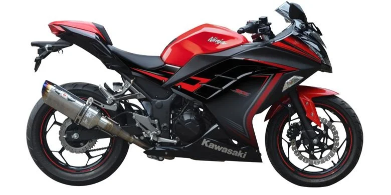 2015 Kawasaki Ninja 250 Beet