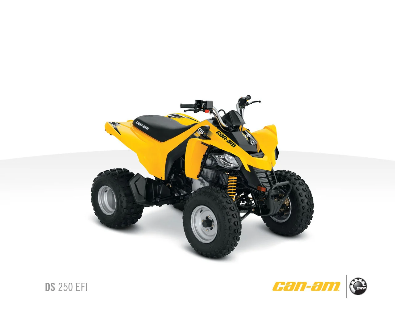 2010 Can-Am DS 250