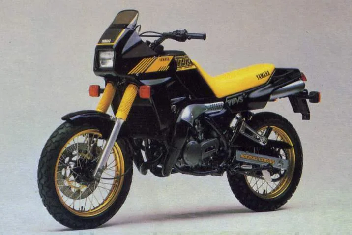 1990 Yamaha TDR 250