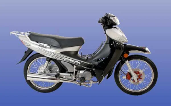 2009 Nipponia NC 110