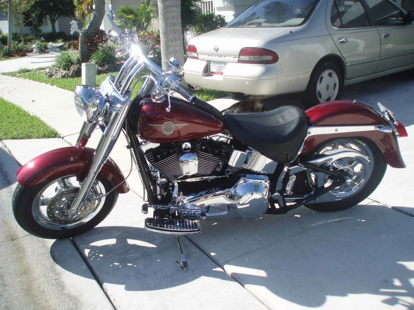 2001 Harley-Davidson Fat Boy Injection