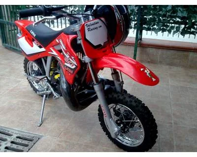 2006 Lem CX2