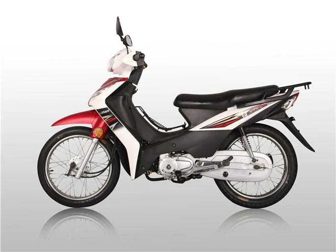 2020 Lifan Showing 110