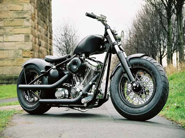 2014 Exile Cycles Bullfighter