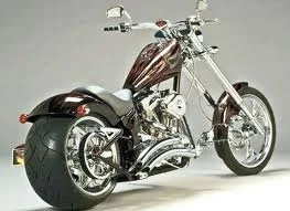 2008 Saxon Griffin
