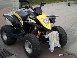 2010 E-Ton Viper ST Exl-150