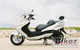 2008 Diamo Turista 300