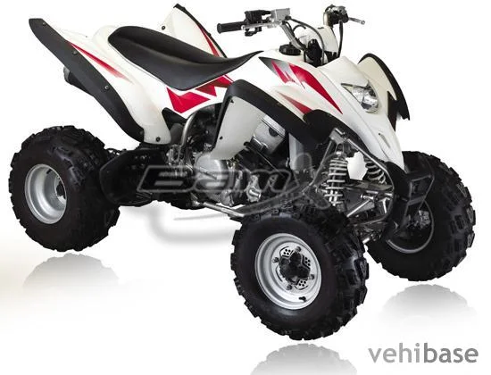 2010 BamX BX450-S Assault