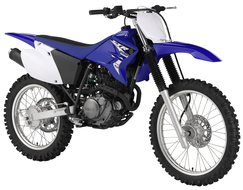 2015 Yamaha TT-R230