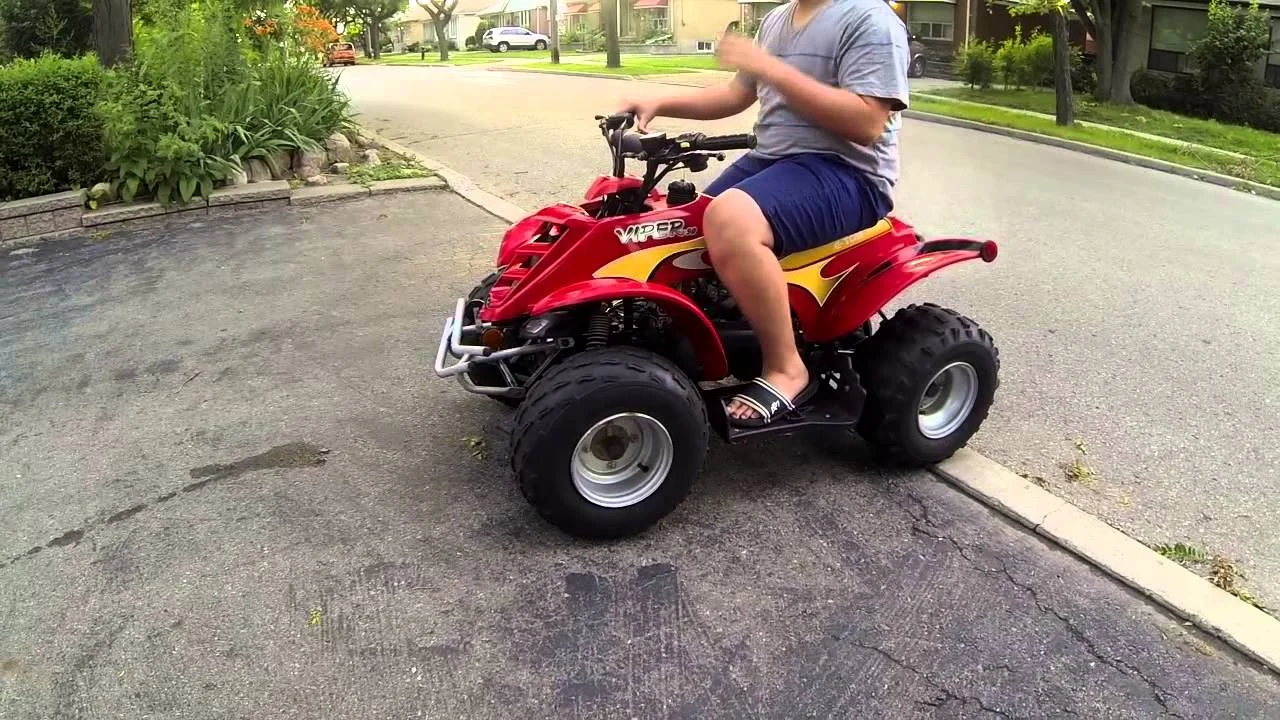2010 E-Ton Viper 90
