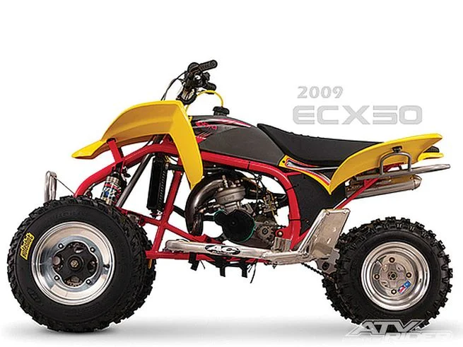 2010 Cobra ECX50