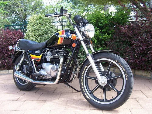 1982 Triumph TSX