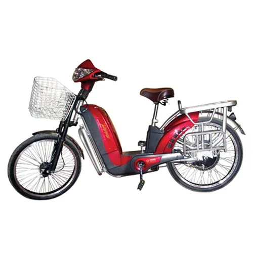 2011 Hero Electric Zippy
