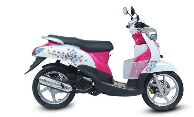 2013 Demak Rino S