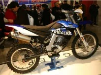 2010 Generic Trigger X 125