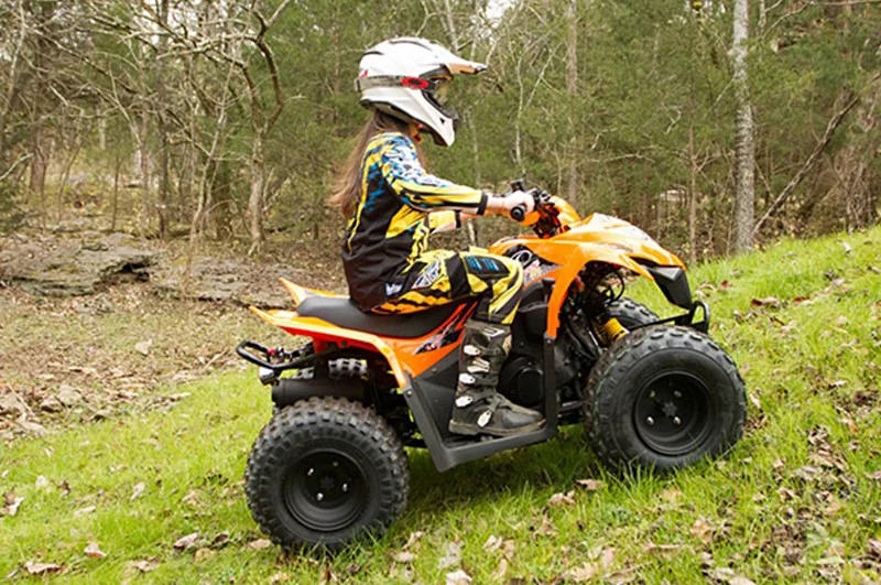 2017 Kymco Mongoose 90S