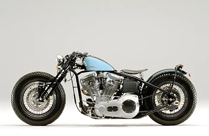 2009 Road Hopper Type 5