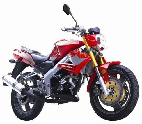 2011 Eagle-Wing DB300 Naked