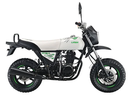 2020 Lifan Pony 100