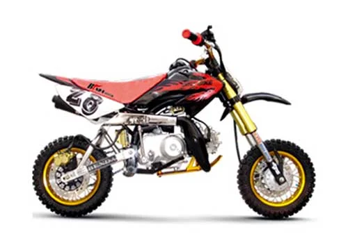 2007 Chang-Jiang GY 110-A