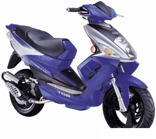 2010 TGB 101R 50