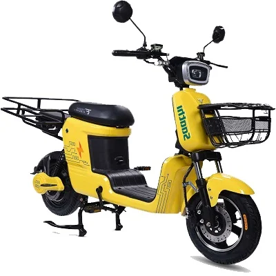 2021 Techo Electra Saathi