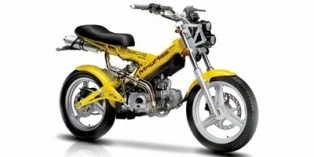 2013 Sachs MadAss 125