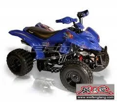 2010 BamX BX110-S Tracker
