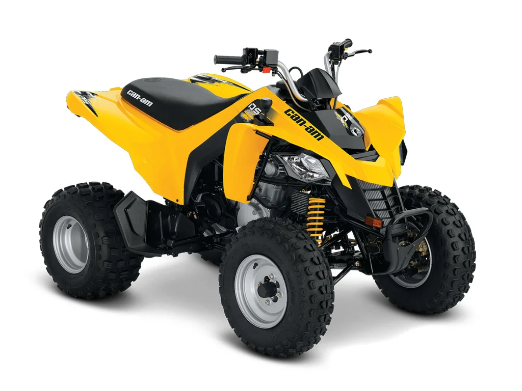 2014 Can-Am DS 250