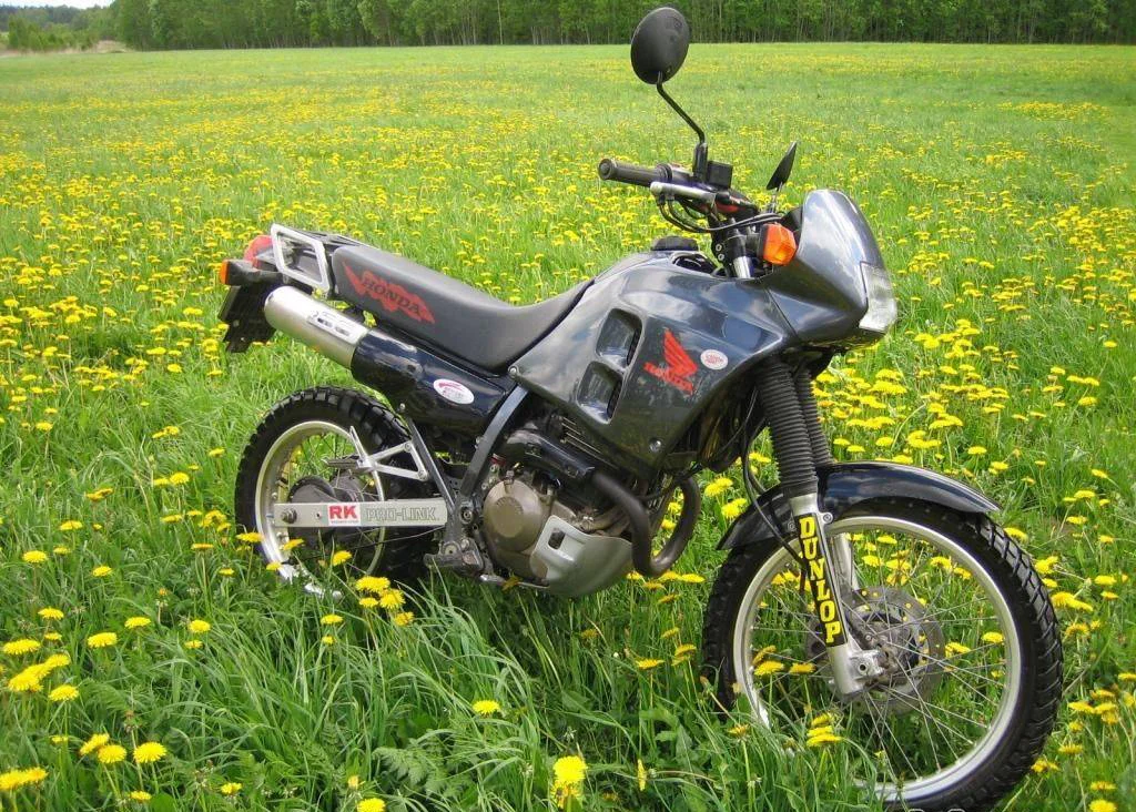 1994 Honda NX 250
