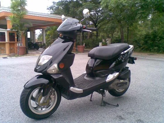 2011 PGO T-Rex 150
