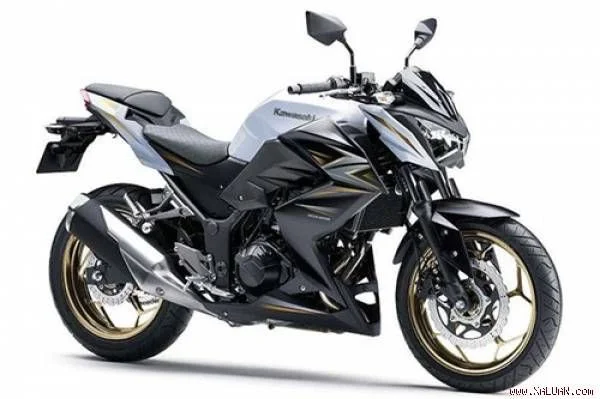 2016 Kawasaki Z300 Special Edition