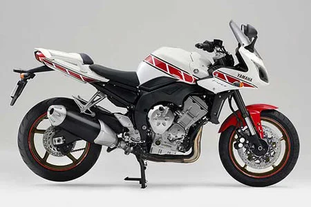 2009 Yamaha FZ1 Fazer ABS