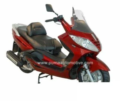 2010 Puma Navona 250