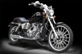 2010 Johnny Pag Raptor-X
