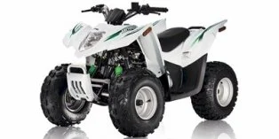 2010 Arctic Cat 90 DVX Youth