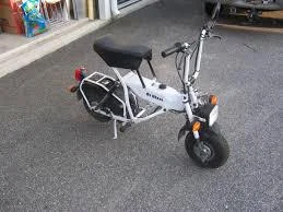 2011 Di Blasi Express