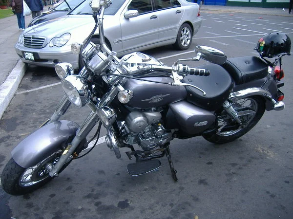 2010 UM Renegade 200 LE