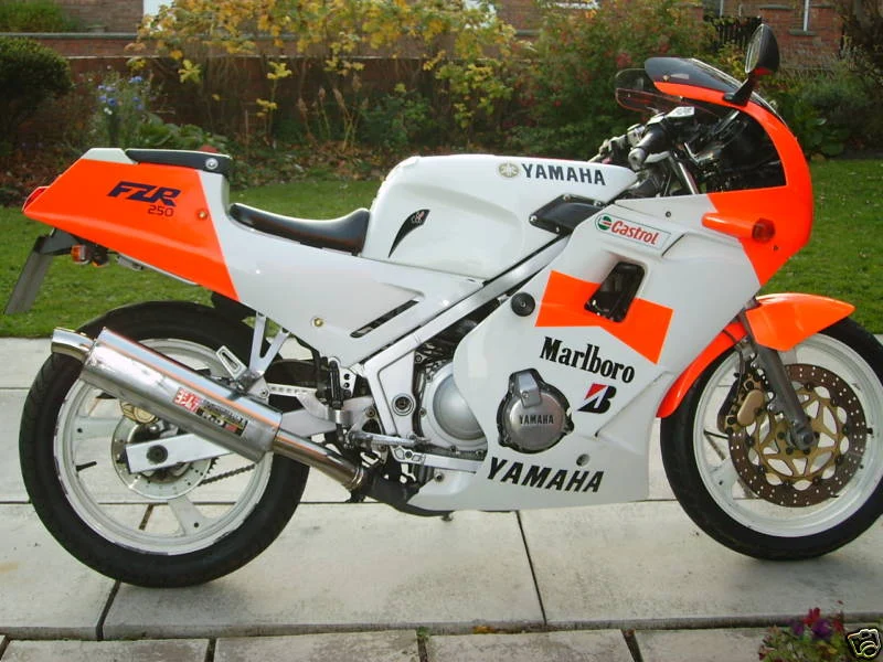 1988 Yamaha FZR 250