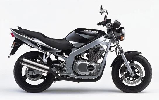 2014 Suzuki GS500