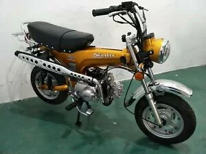 2021 Skyteam Skymax 125
