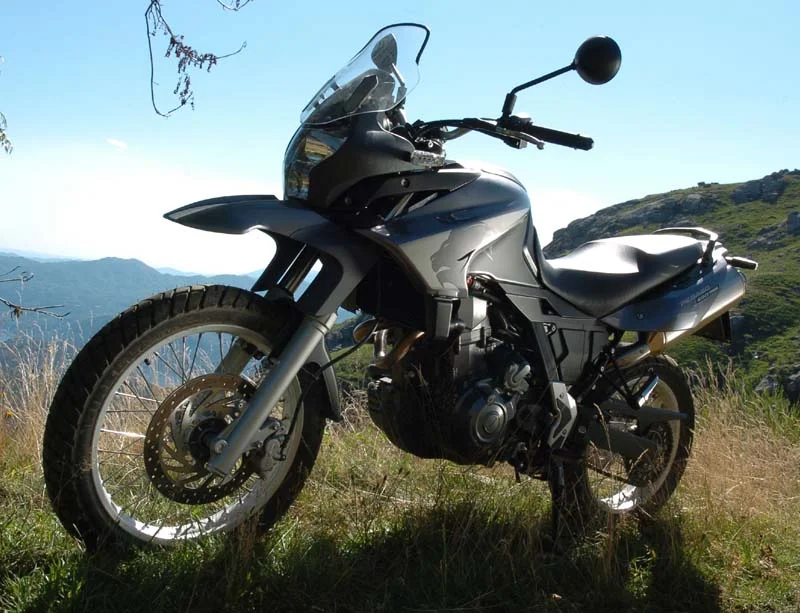 2008 Aprilia Pegaso 650
