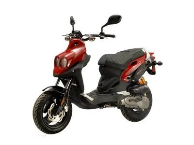 2008 Genuine Scooter Rattler 110