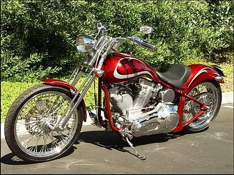 2009 American Eagle Raven